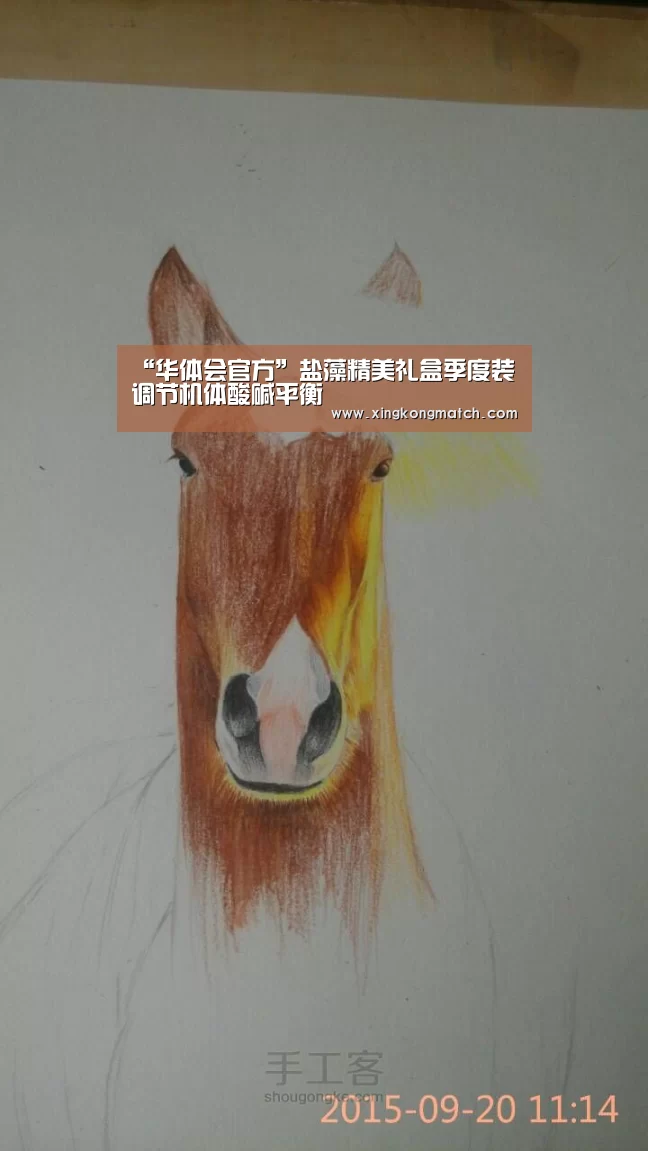 华体会官方