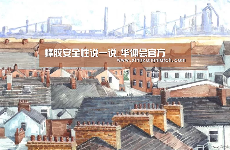 华体会直播