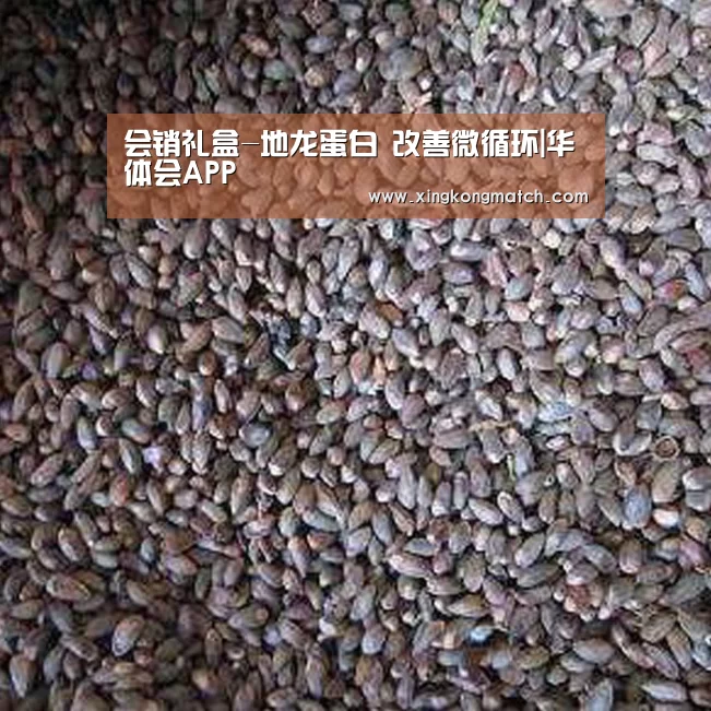 会销礼盒-地龙蛋白 改善微循环|华体会APP(图3) 华体会快讯
