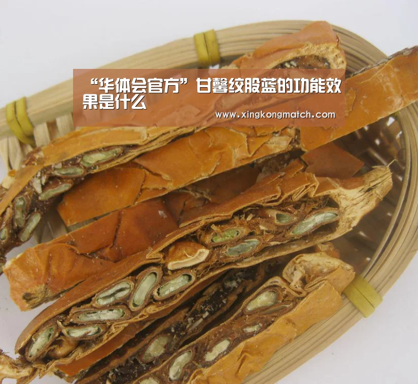 “华体会官方”甘馨绞股蓝的功能效果是什么(图4) 华体会直播
