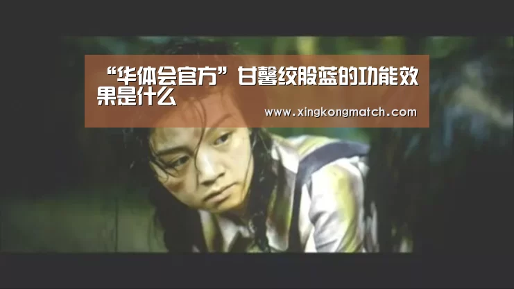 “华体会官方”甘馨绞股蓝的功能效果是什么(图3) 华体会直播