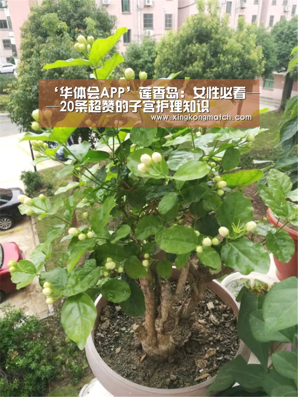 ‘华体会APP’莲香岛:女性必看——20条超赞的子宫护理知识(图2) 华体会快讯