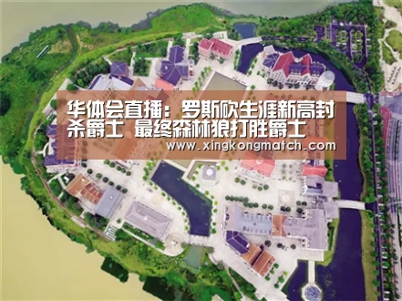 华体会直播:罗斯砍生涯新高封杀爵士 最终森林狼打胜爵士(图2) 华体会官方
