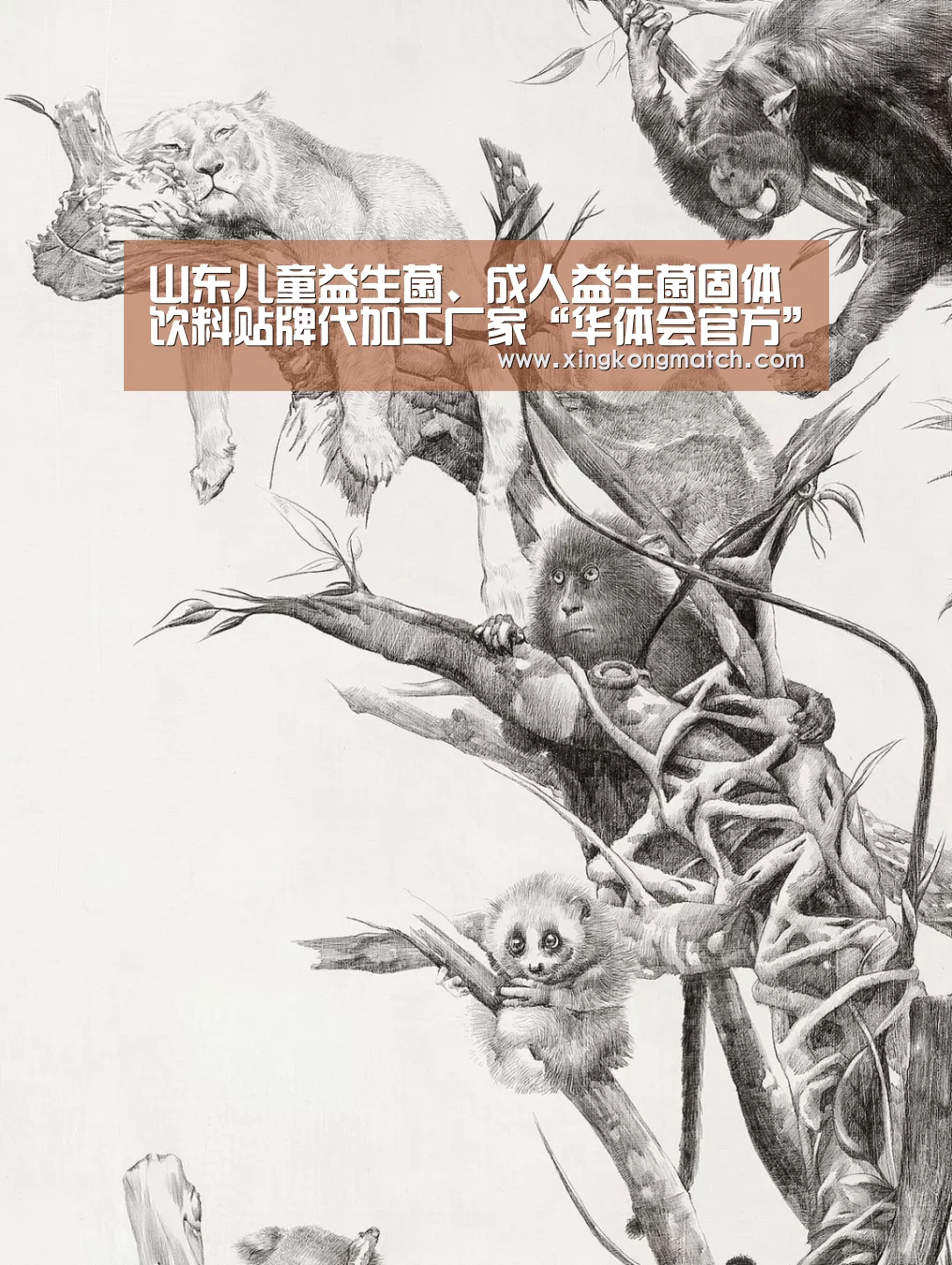 山东儿童益生菌、成人益生菌固体饮料贴牌代加工厂家“华体会官方”(图2) 华体会APP