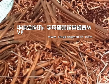 华体会快讯:字母哥荣获常规赛MVP(图3) 华体会官方