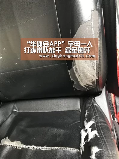 “华体会APP”字母一人打爽带队能干 绿军围歼暴露伪巨星本性(图2) 华体会直播