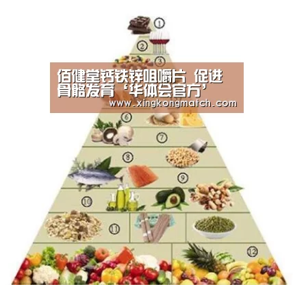 华体会APP