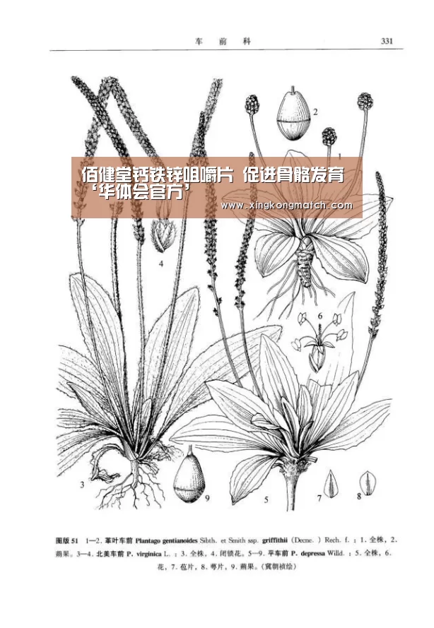 华体会直播